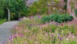 Llanerchaeron Garden-4.jpg